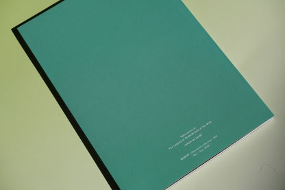 "Speed of Light" art book, 6 x 8", by Redum